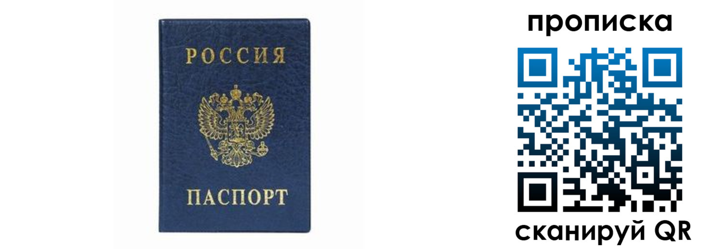 временная регистрация поиск в Всеволожске